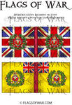 NAPB064 100th Regiment of Foot (Prince Regent's County of Dublin Regiment)